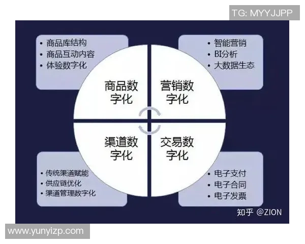 上海足球队运营模式深度解析与未来发展展望